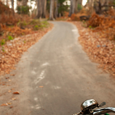 Cycling